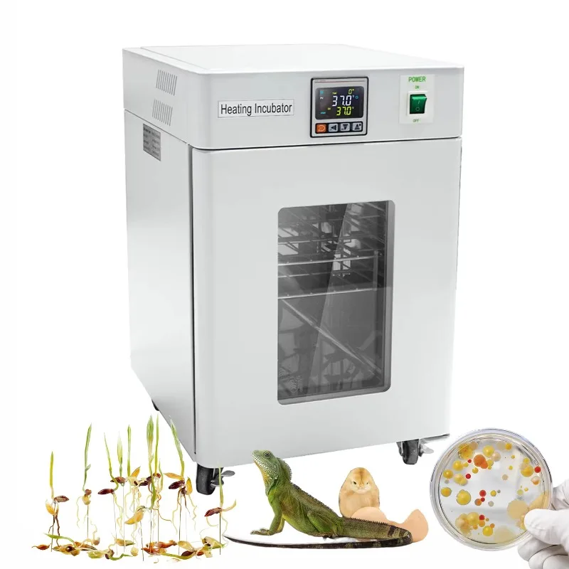 WEIAI 20L Biological Indicator - Medical Lab Microbiology review and price
