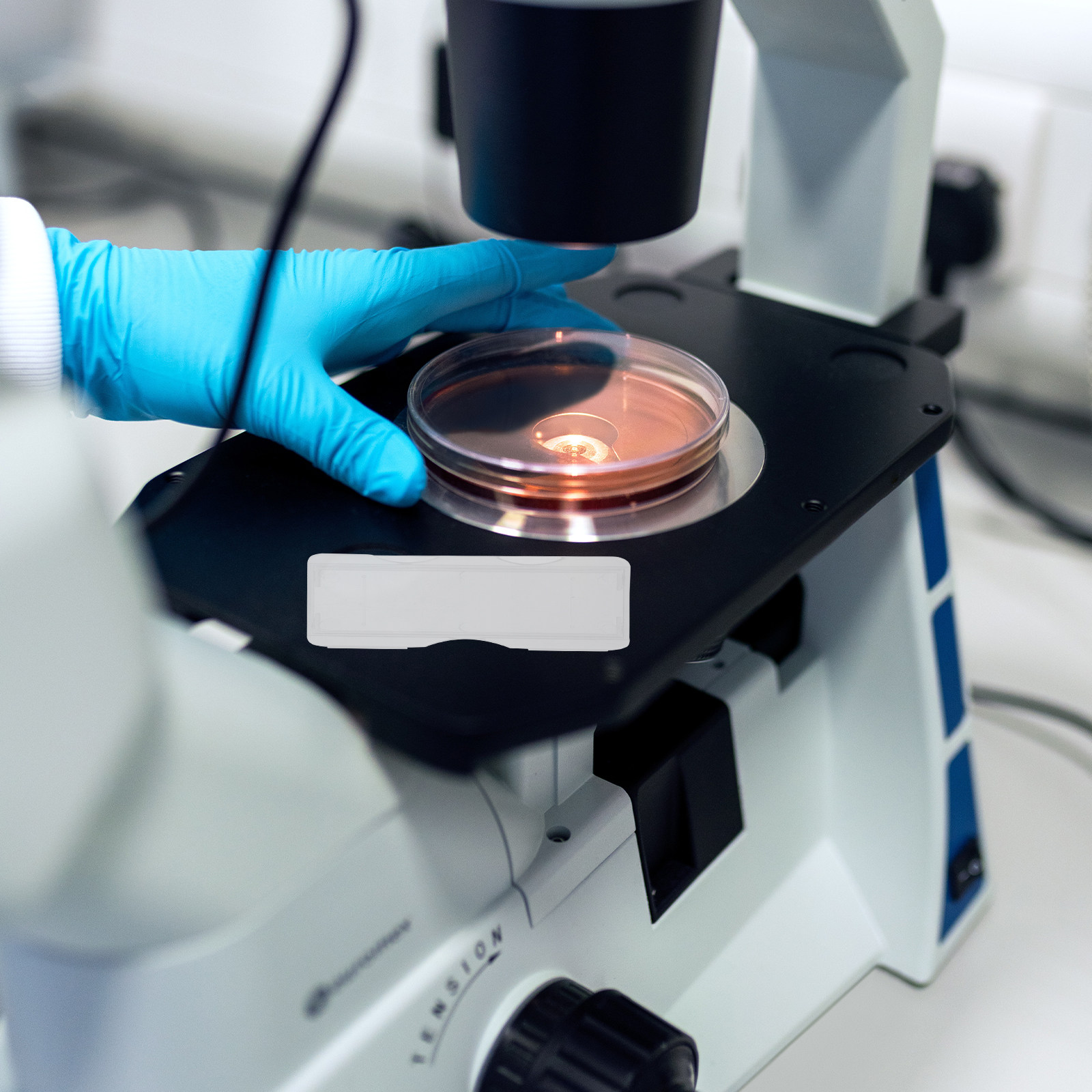 100Pcs Individual Microscope P - Pathology Slide Storage review and price